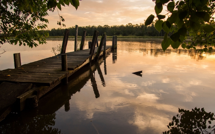 a dock rests on very still water at either sun rise or sunset, reflecting the golden light. There is a line of trees in the background, and leaves framing the edges of the photo in the foreground. 